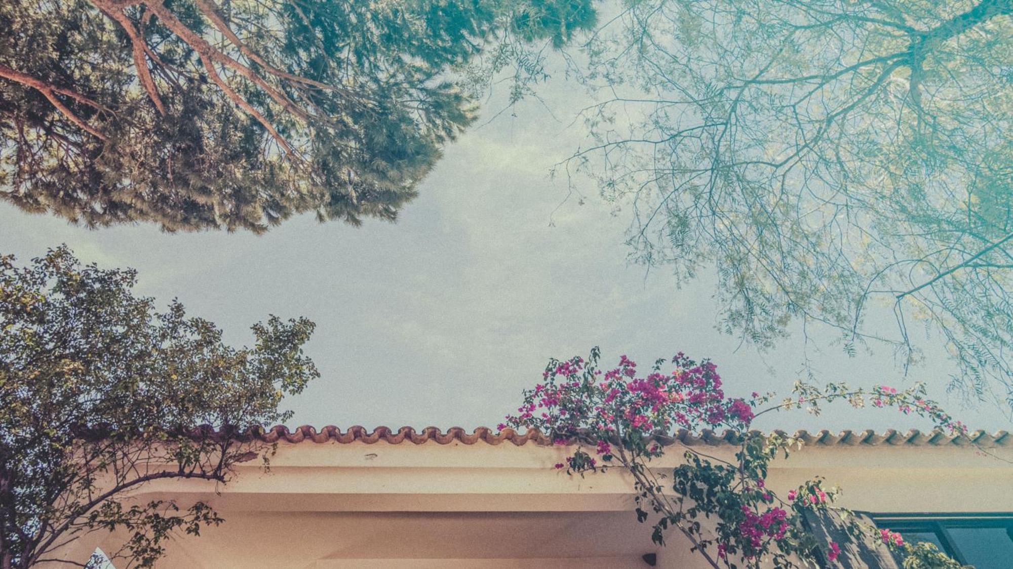 Pine House - Faro Airport, Beach And City Center Εξωτερικό φωτογραφία
