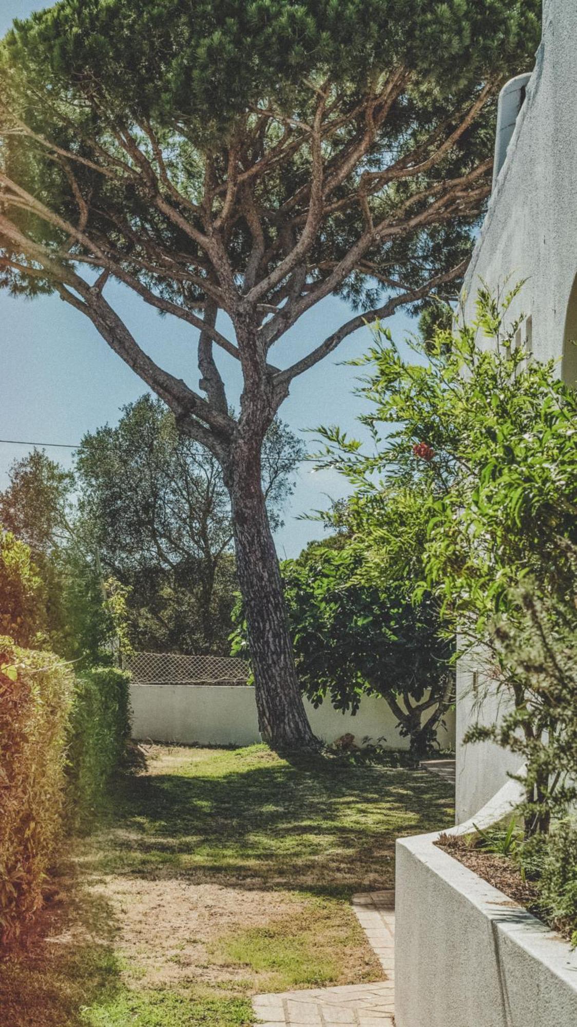 Pine House - Faro Airport, Beach And City Center Εξωτερικό φωτογραφία